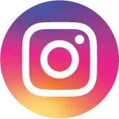 feed